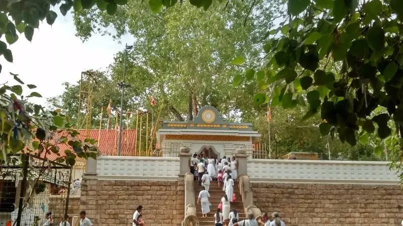 Sri Maha Bodhi