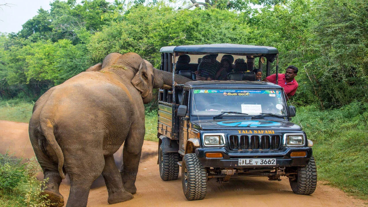 Yala National Park