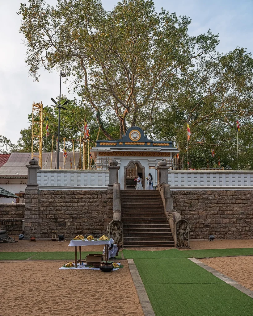 Sri Maha Bodhi